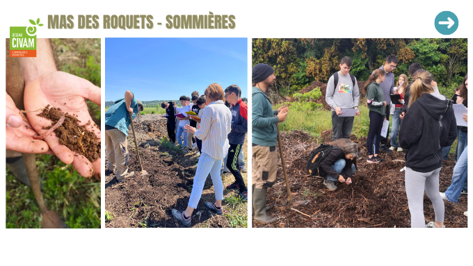 Copie de Programme Fête de la Science.png